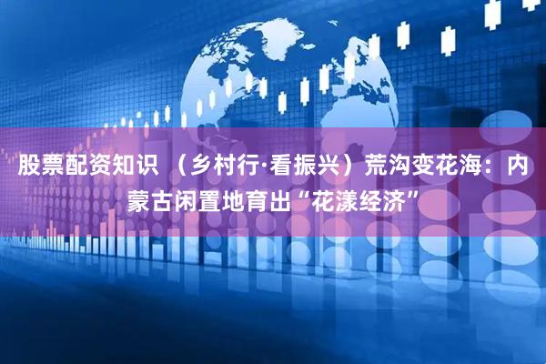 股票配资知识 （乡村行·看振兴）荒沟变花海：内蒙古闲置地育出“花漾经济”
