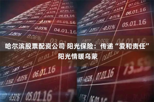 哈尔滨股票配资公司 阳光保险：传递“爱和责任” 阳光情暖乌蒙